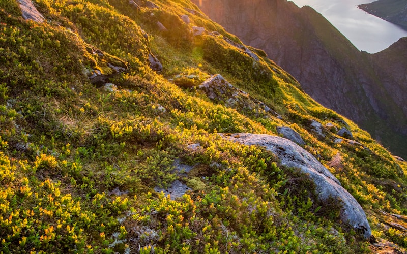 Snow Valley Mountain Resort